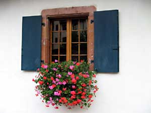 Alsace Window