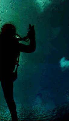 Discover Scuba Diving in Australia